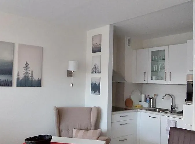 Loreley Lounge Ii 公寓 *